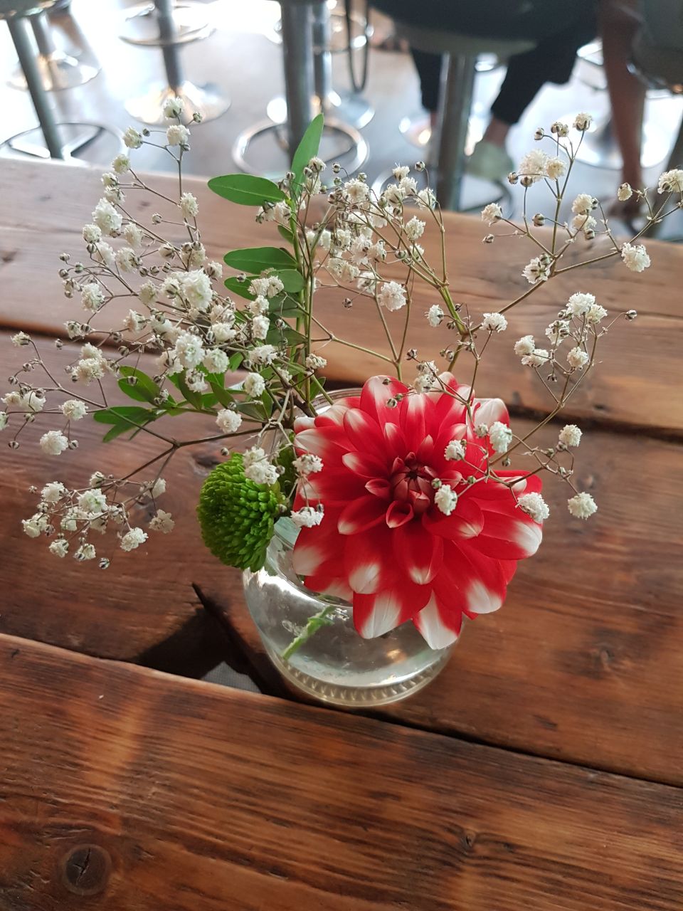 Chrysanthemum Small Wonder