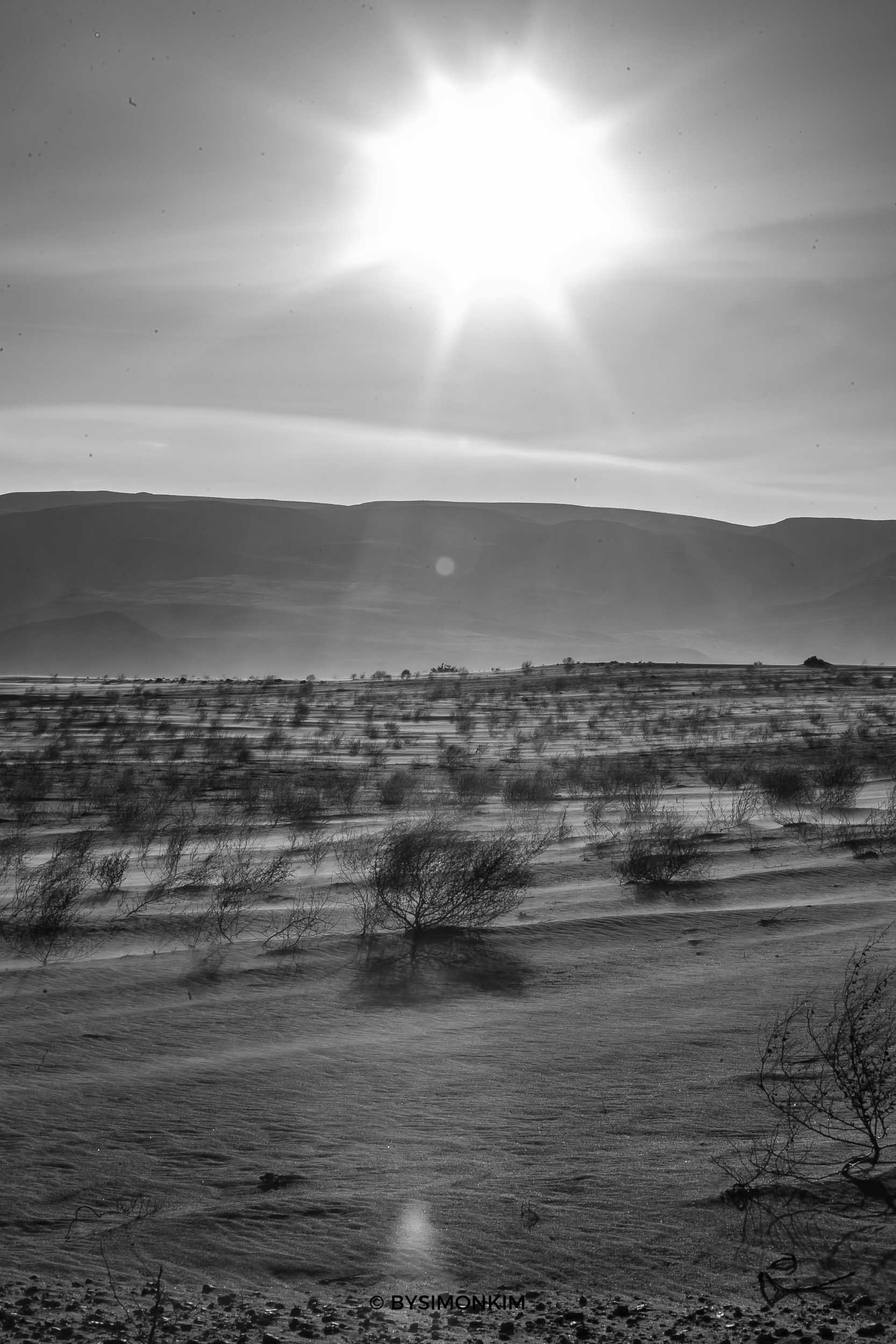 3.23.18 Death Valley National-37.jpg