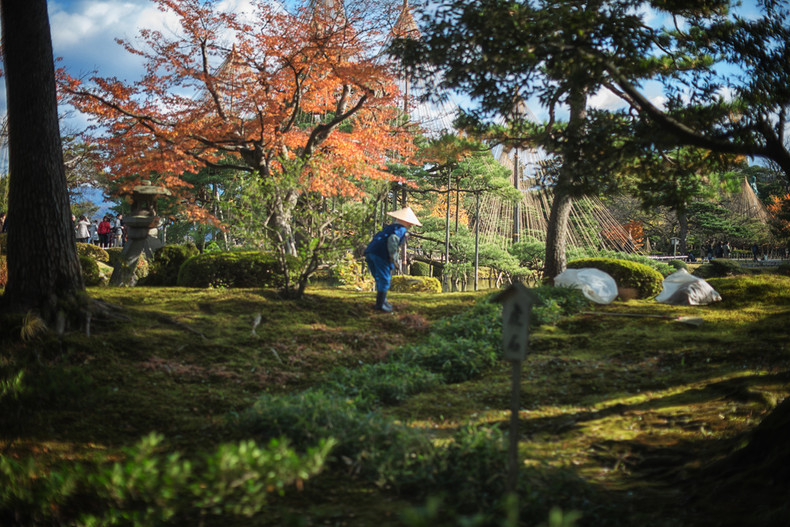 Kanazawa-Autumn-3822-1116.jpg