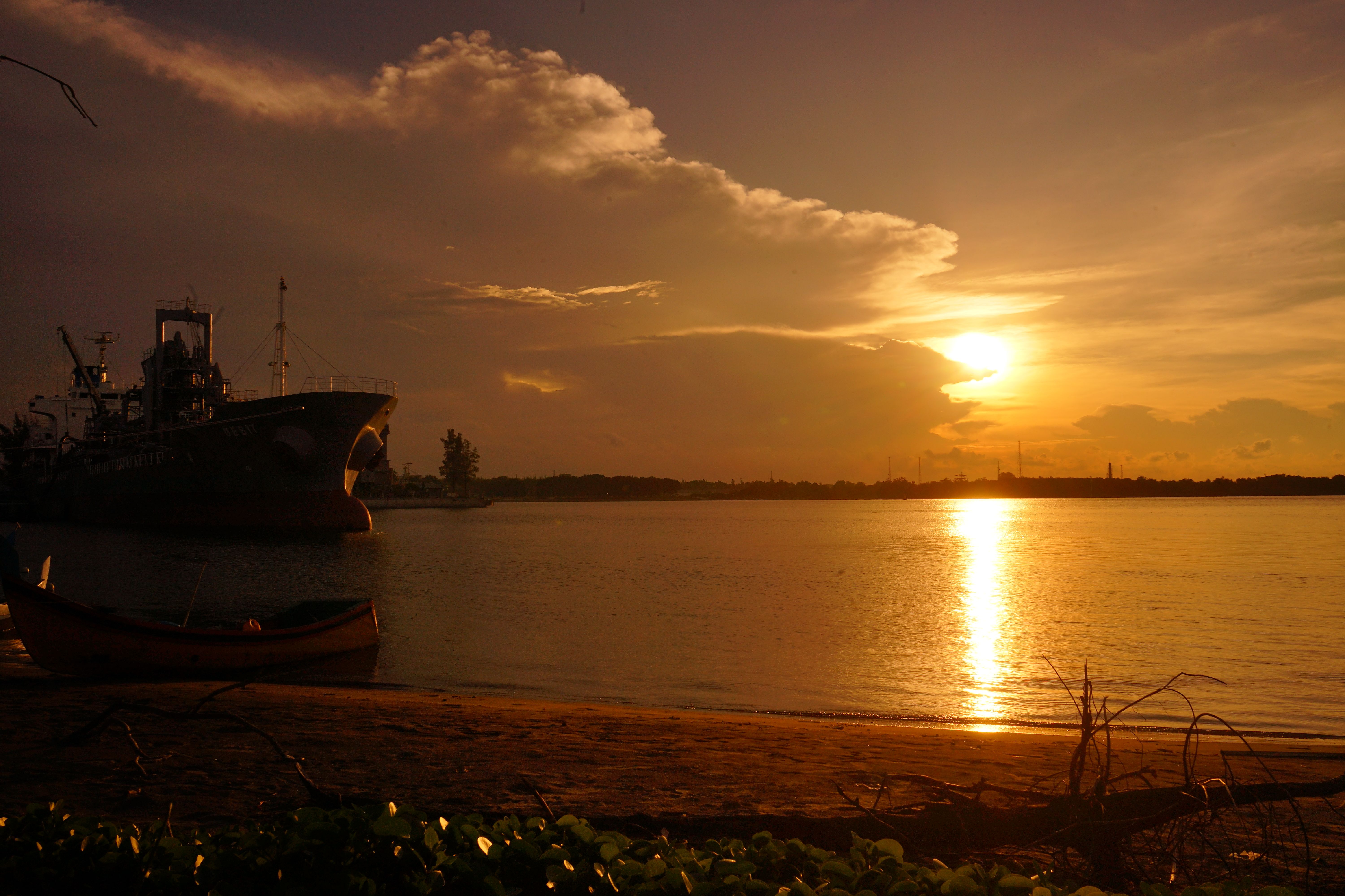 DSC07974.JPG