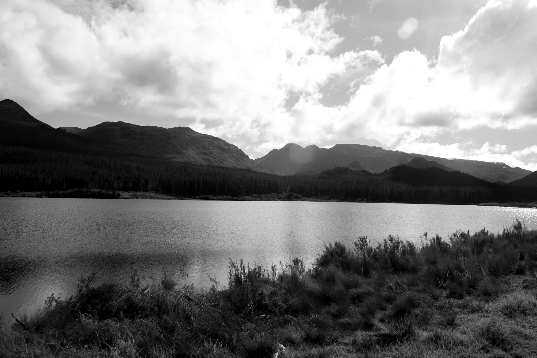 lake reflection bw.png