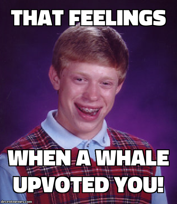 when_a_whale_upvoted_you!.jpg
