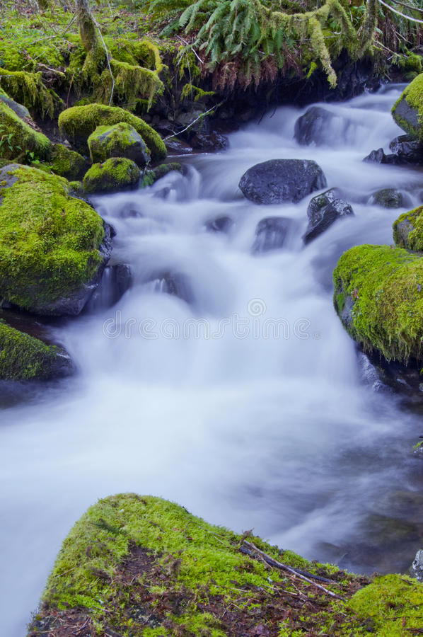 waterfall-mossy-rocks-soft-water-flow-flowing-down-mountain-stream-38955272.jpg