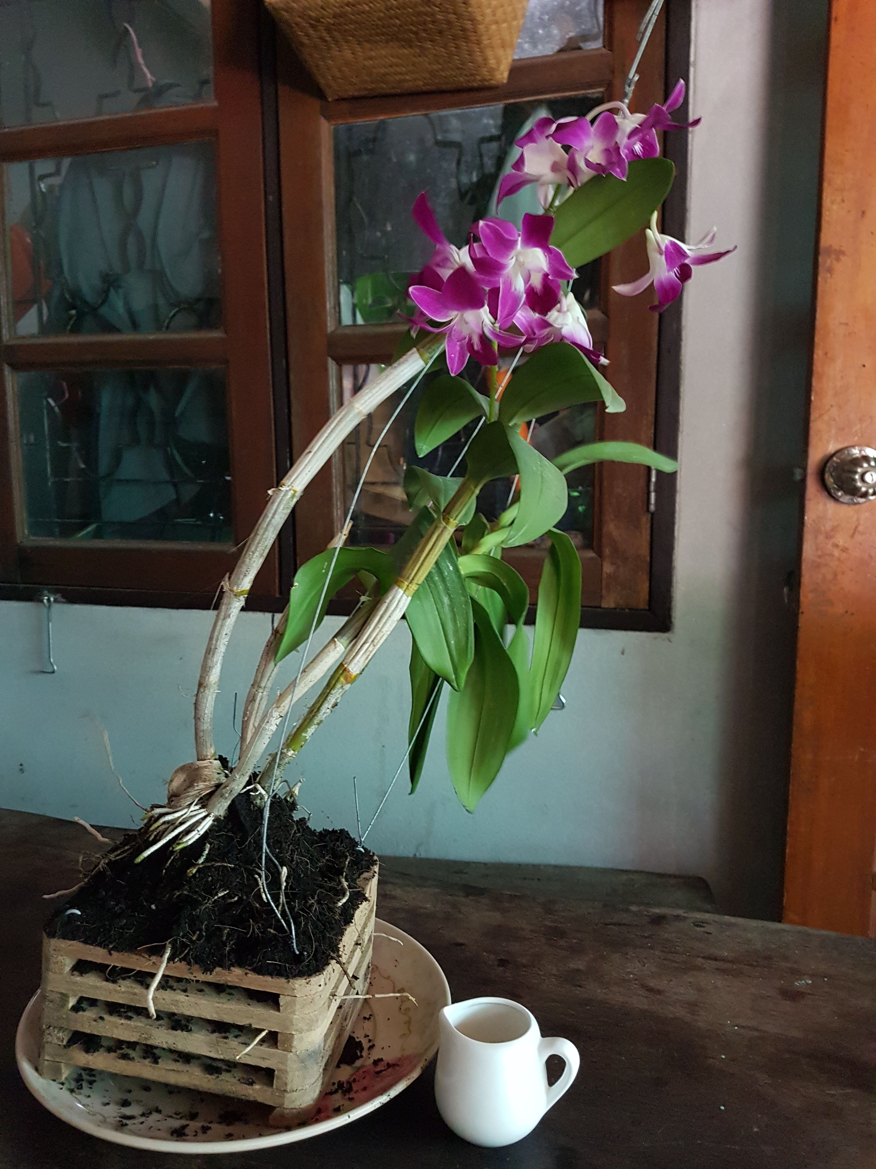 20170828_154552.jpg