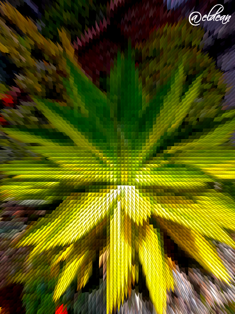 20180312_132320-a.png