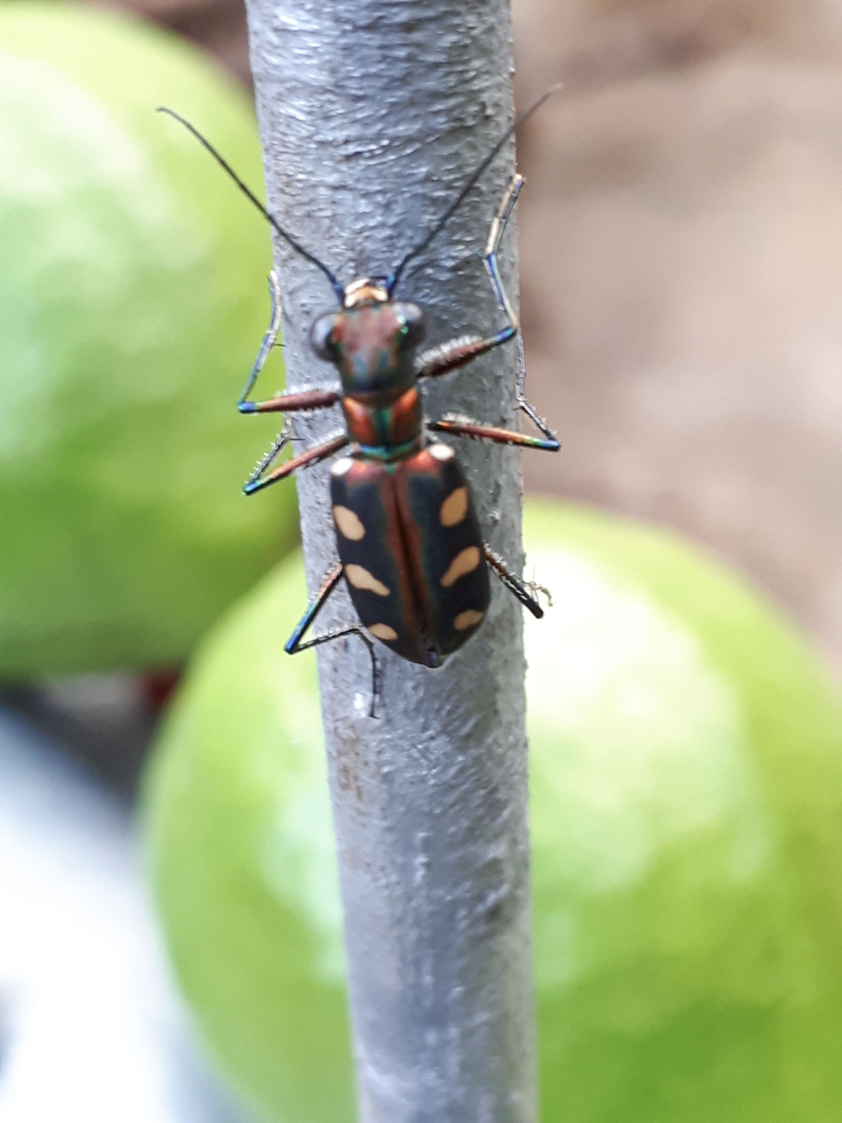 20180116_173607.jpg)
![