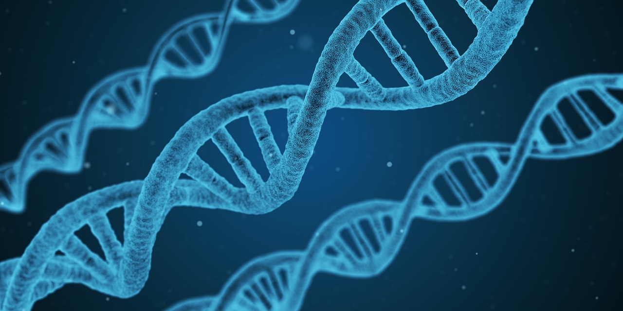 DNA Structure.jpg