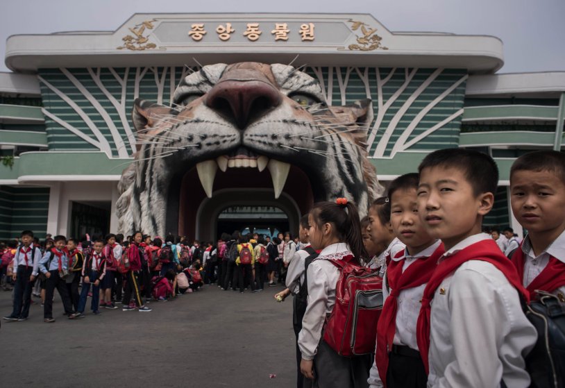 north-korea-ed-jones-museum-natural-history2.jpg