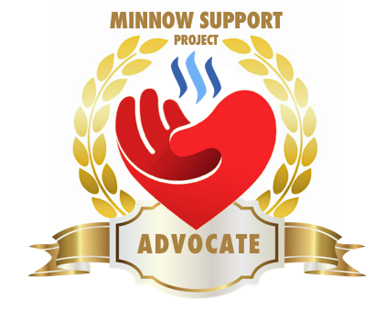 minnowsupport