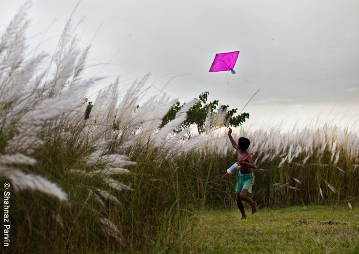 113052297013fa38785d12700182cc30--bangladesh-kites.jpg