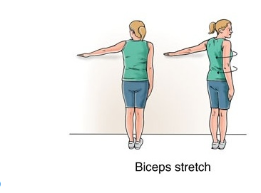 bicep stretch clipart