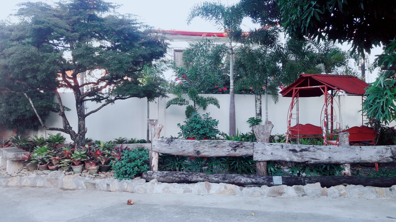B612_20180307_170657.jpg