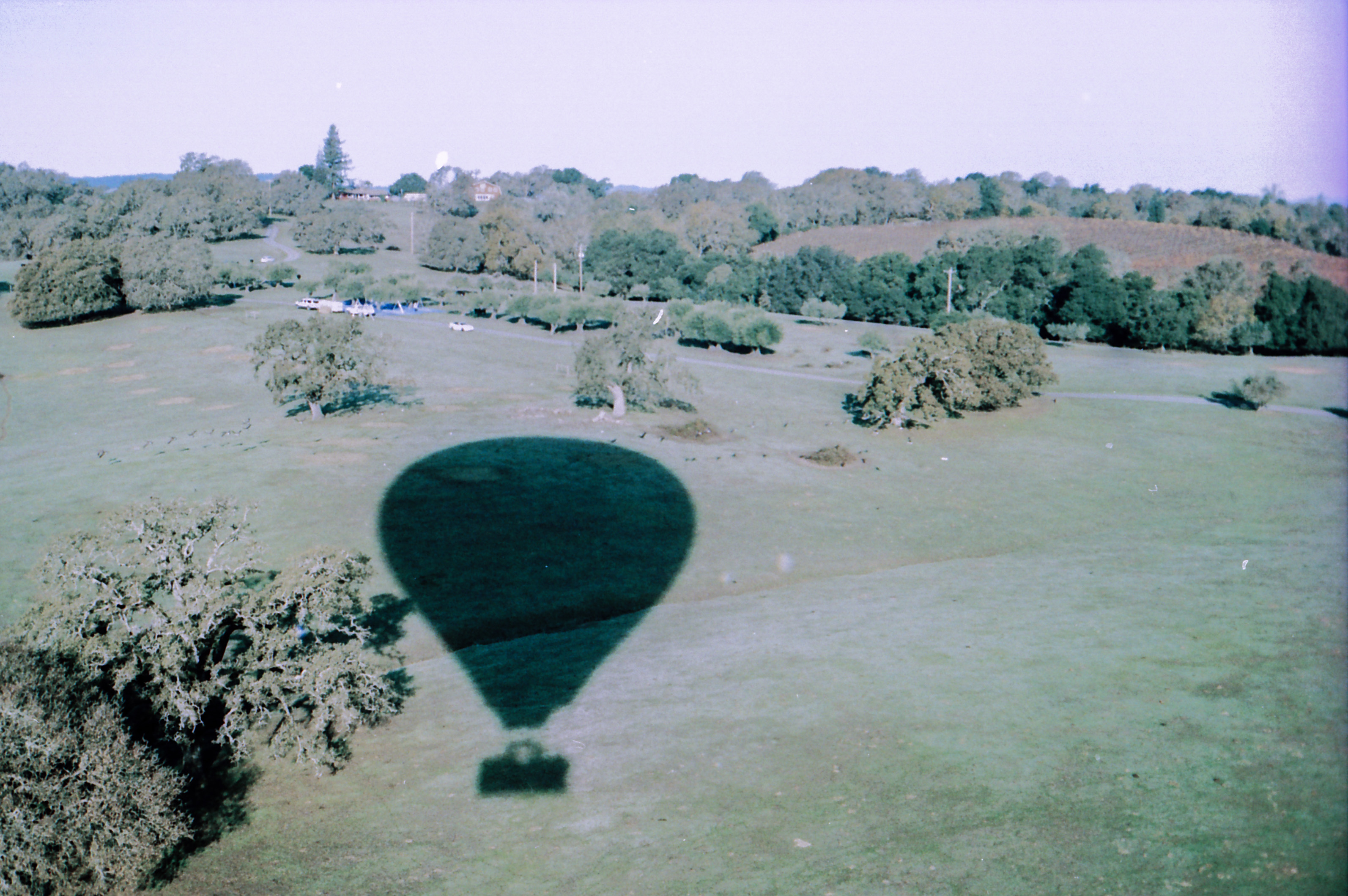 balloon-7.jpg