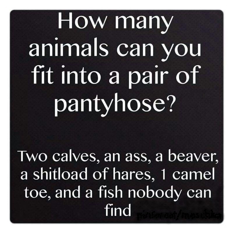 Funny pantyhose_LI.jpg
