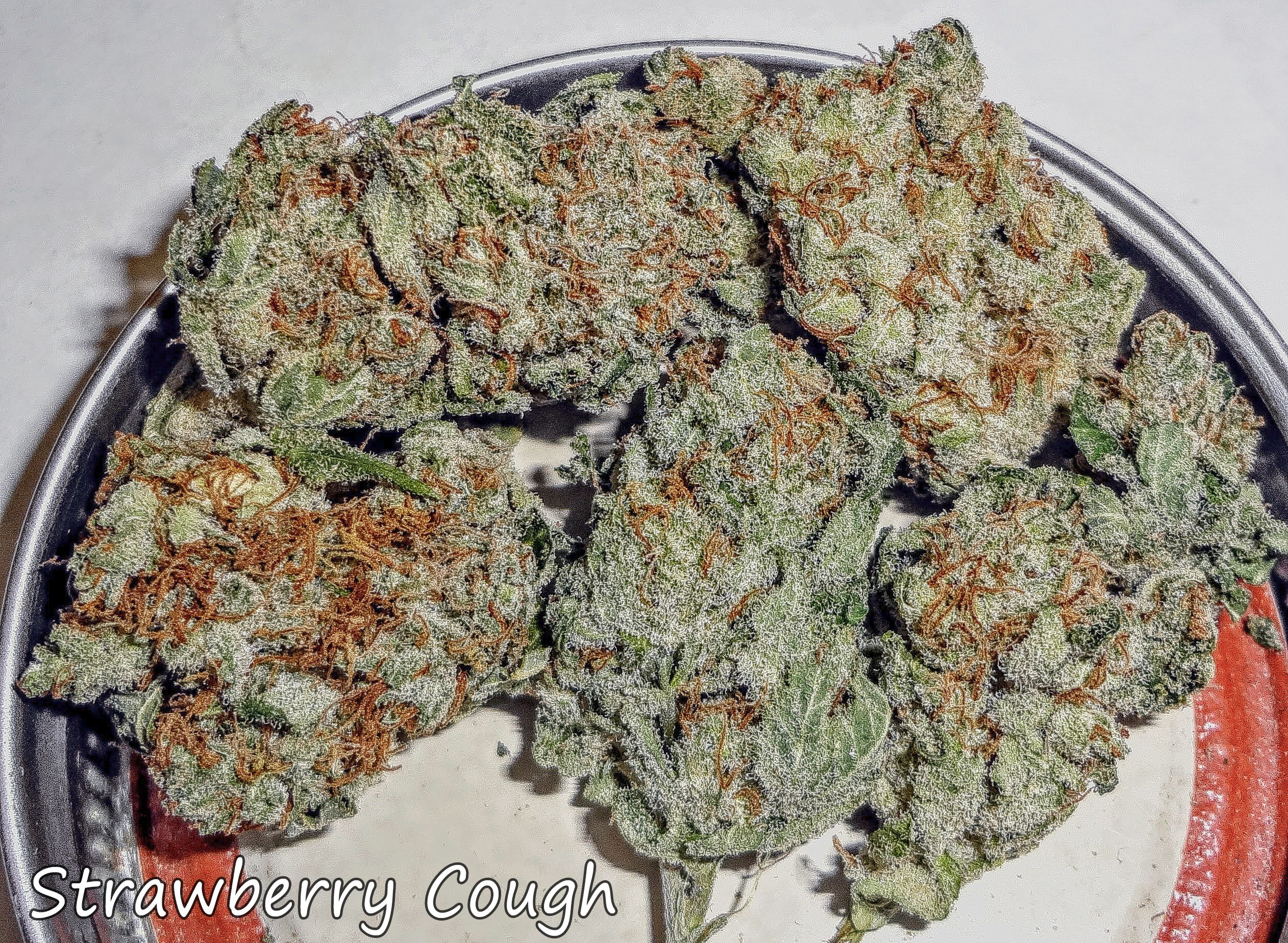 strawberrycough3089.JPG