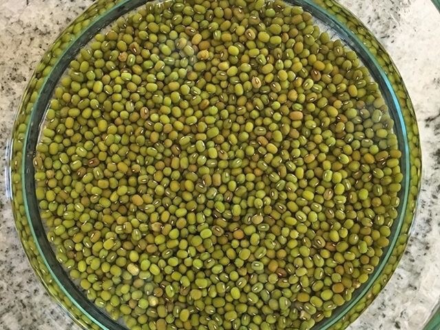 Mung Beans In Coconut Milk Food Recipe Steemit