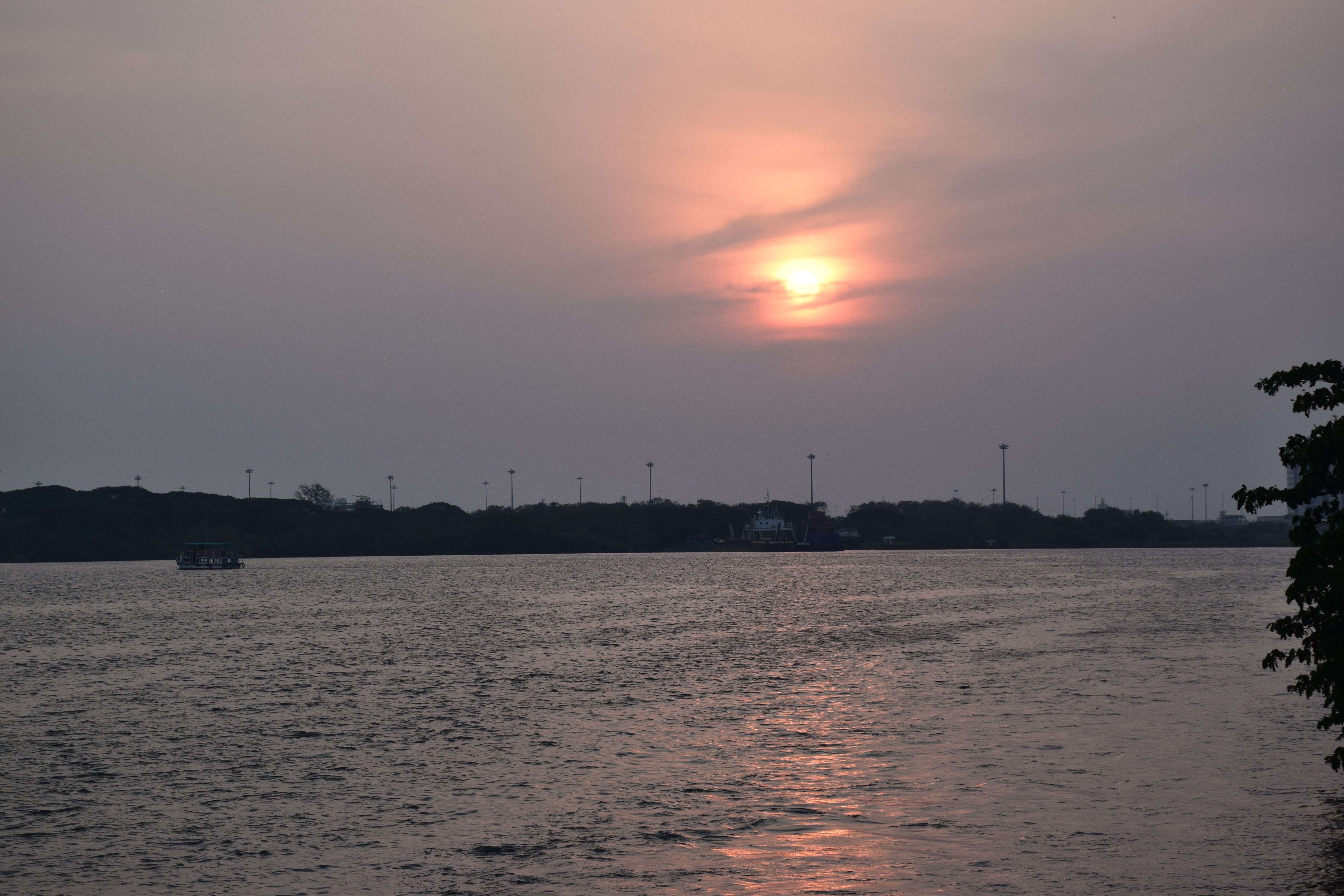 DSC_1036.JPG