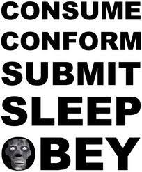 2D0DC262-A34A-46E5-9636-5CD73507C6D1.jpeg