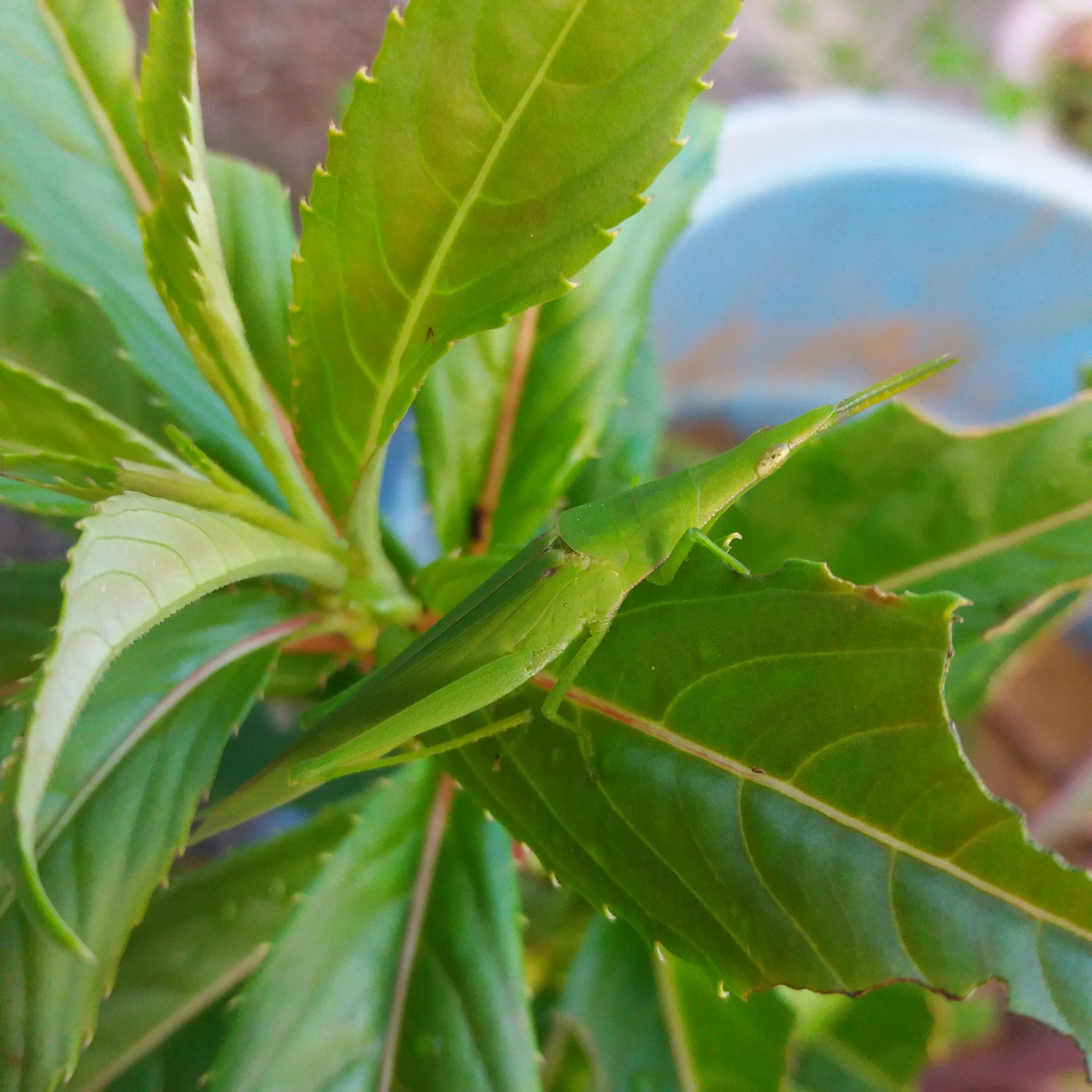 20180220_074934.jpg