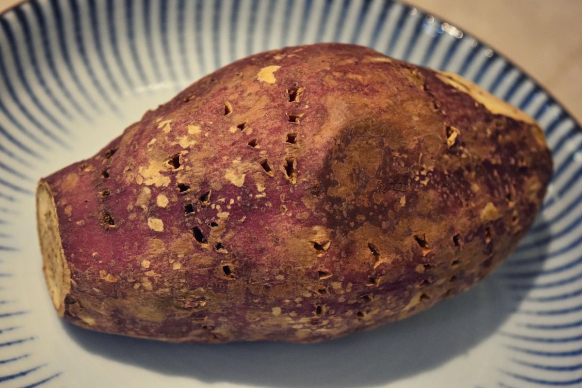 loaded-sw-potato-1.jpg