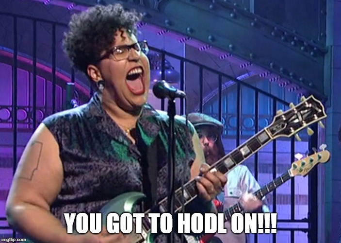 HODL ON.jpg