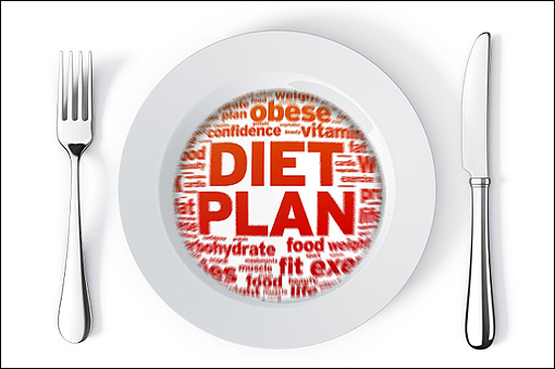 Choosing-a-Diet-Plan-510-x-339.jpg