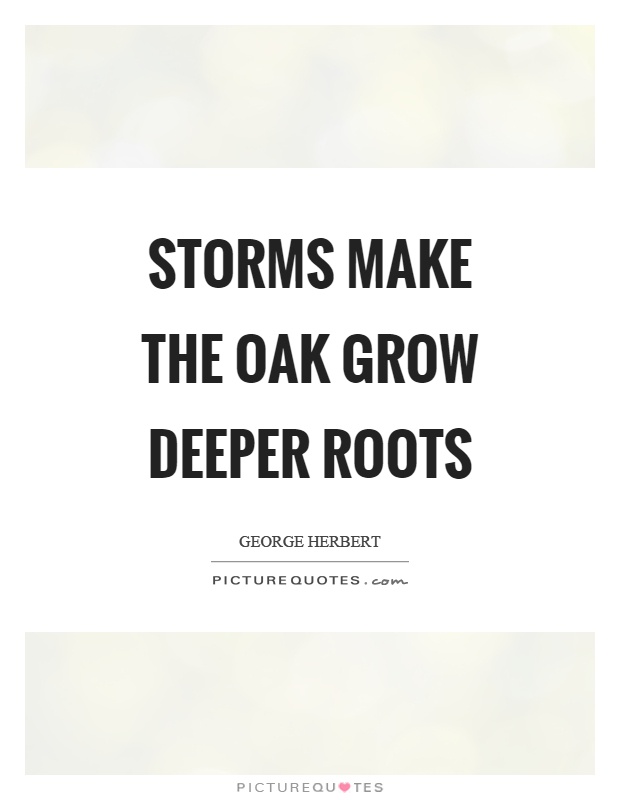 Storms make the oak grow deeper roots.jpg