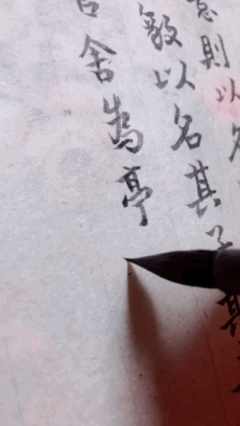 2C8A7AF6-2382-4CDA-BA13-F616B6158A56.gif