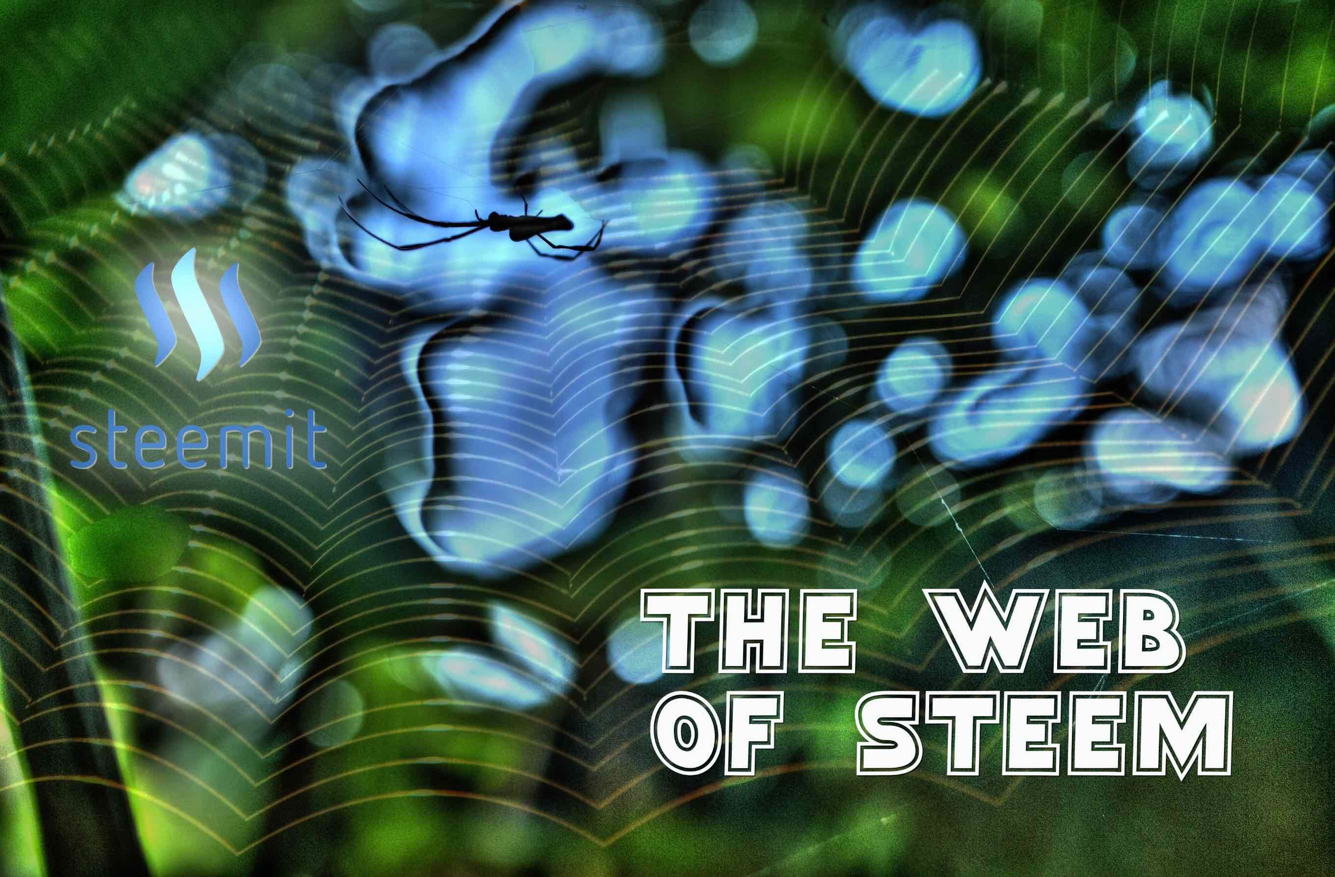 the steem web.jpg