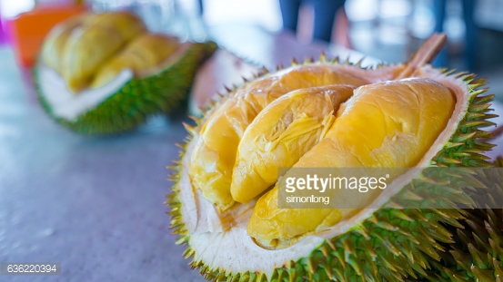 02Durian.jpg