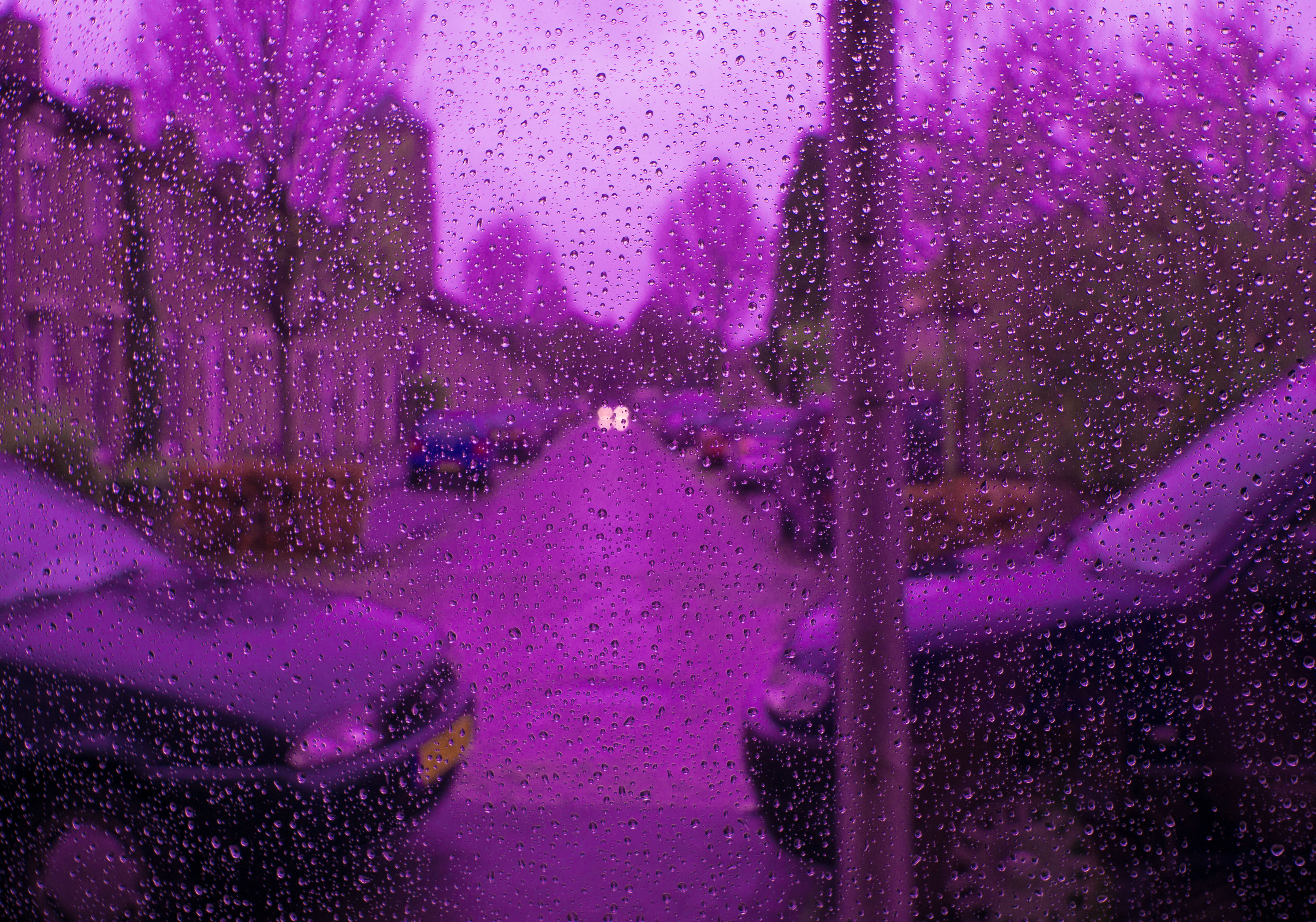 A6000-22-04-2016-purple-01450.jpg