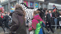 42.gif