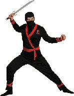 ninja-small.jpg