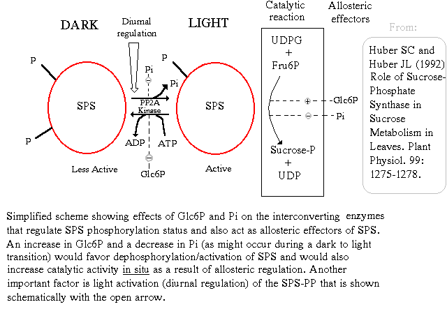 sps.gif