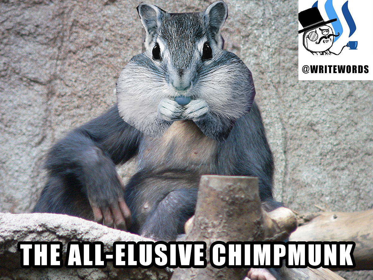 chimpmuck.png