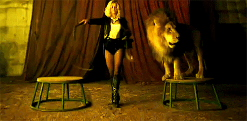 Image result for MAKE GIFS MOTION IMAGES LION TAMERS WHIPPING BEASTS AT BAY