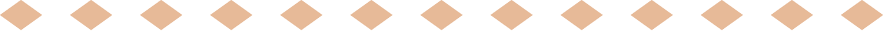 Horizontal Rhomb Big Orange Divider.png