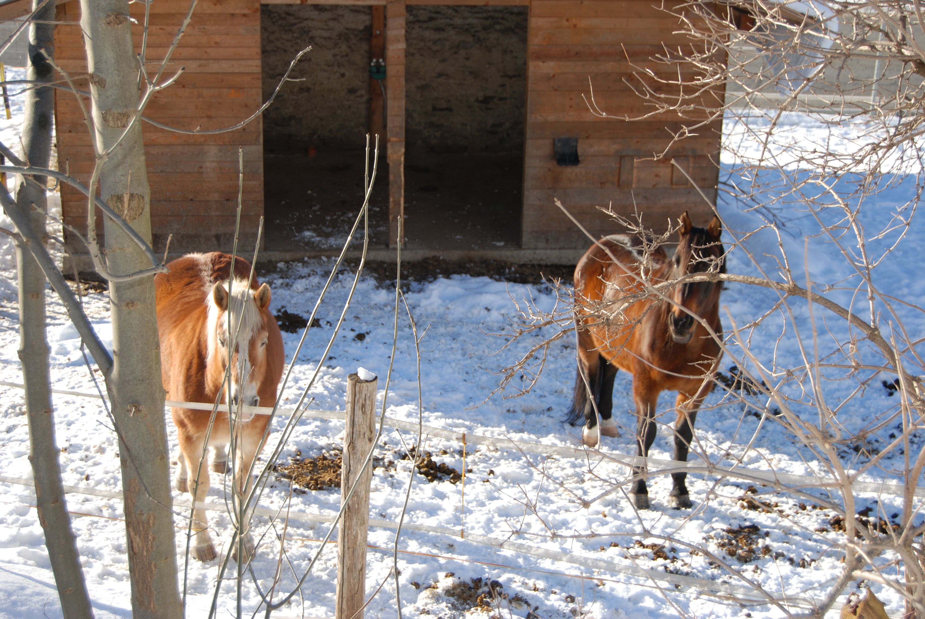 Lugano January 2009 124.JPG