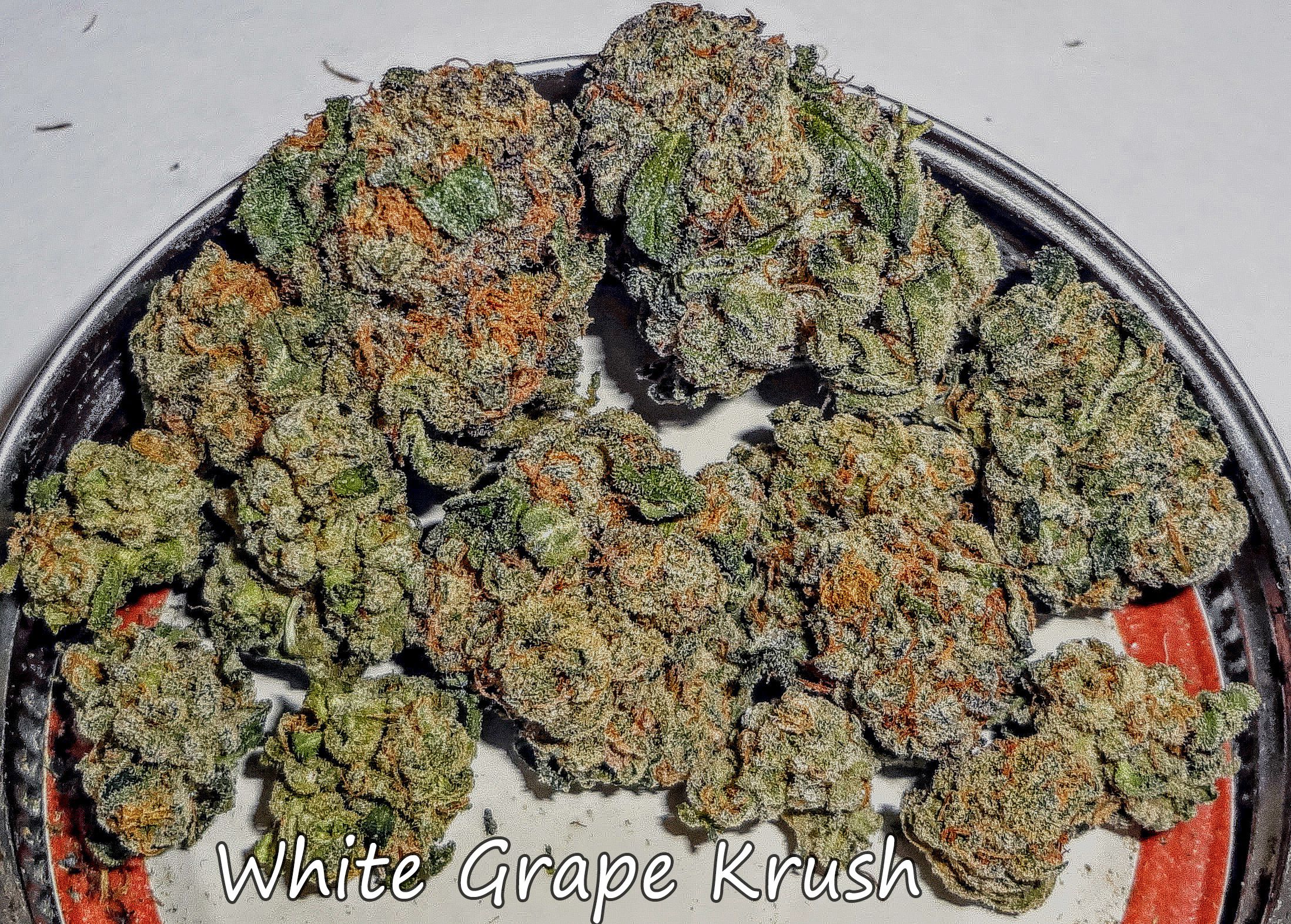 whitegrapekrush311.JPG