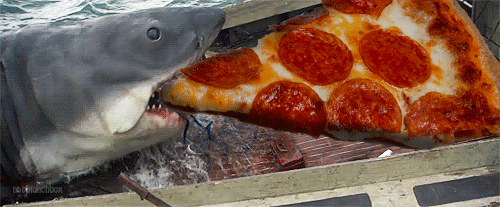 funny-shark-eats-pizze-animated-gif.gif