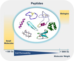 Peptide Therapeutics.jpg