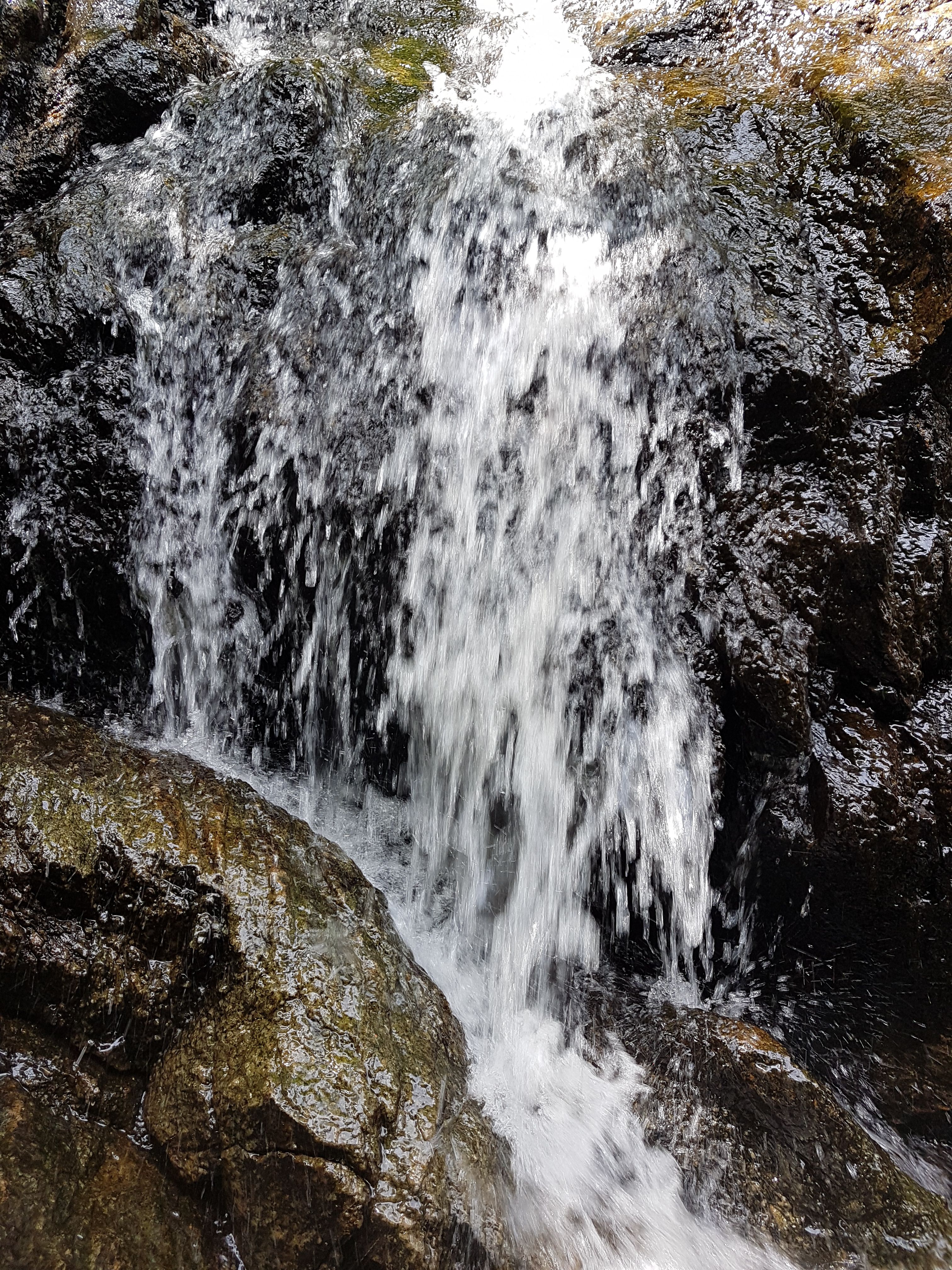 20171004_100417.jpg