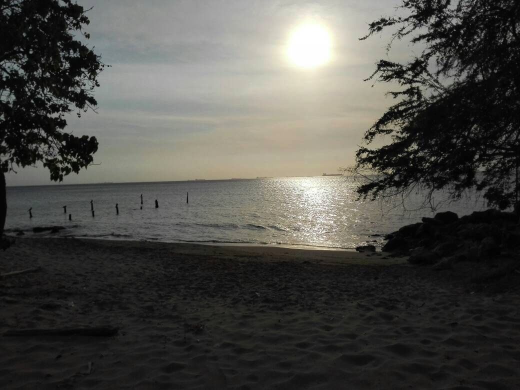 IMG-20180410-WA0003-01.jpeg