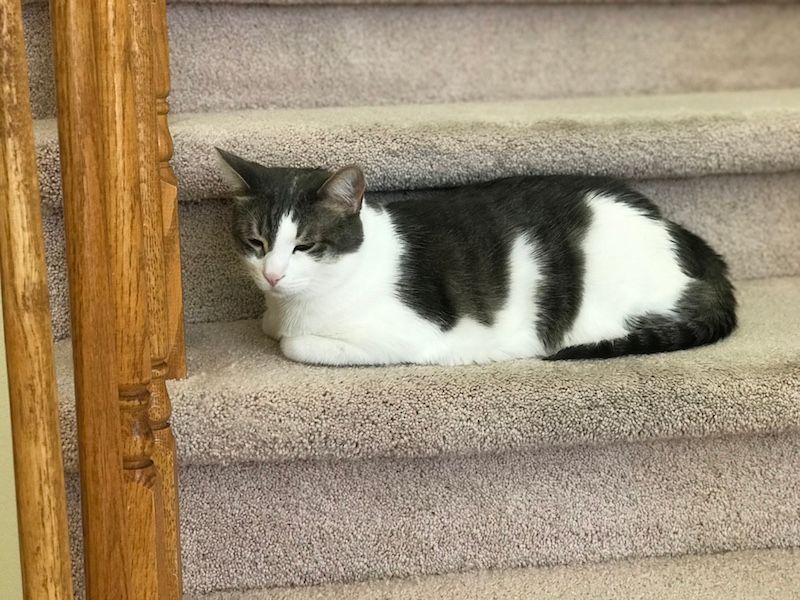 Photo May 20, 14 47 11.jpg