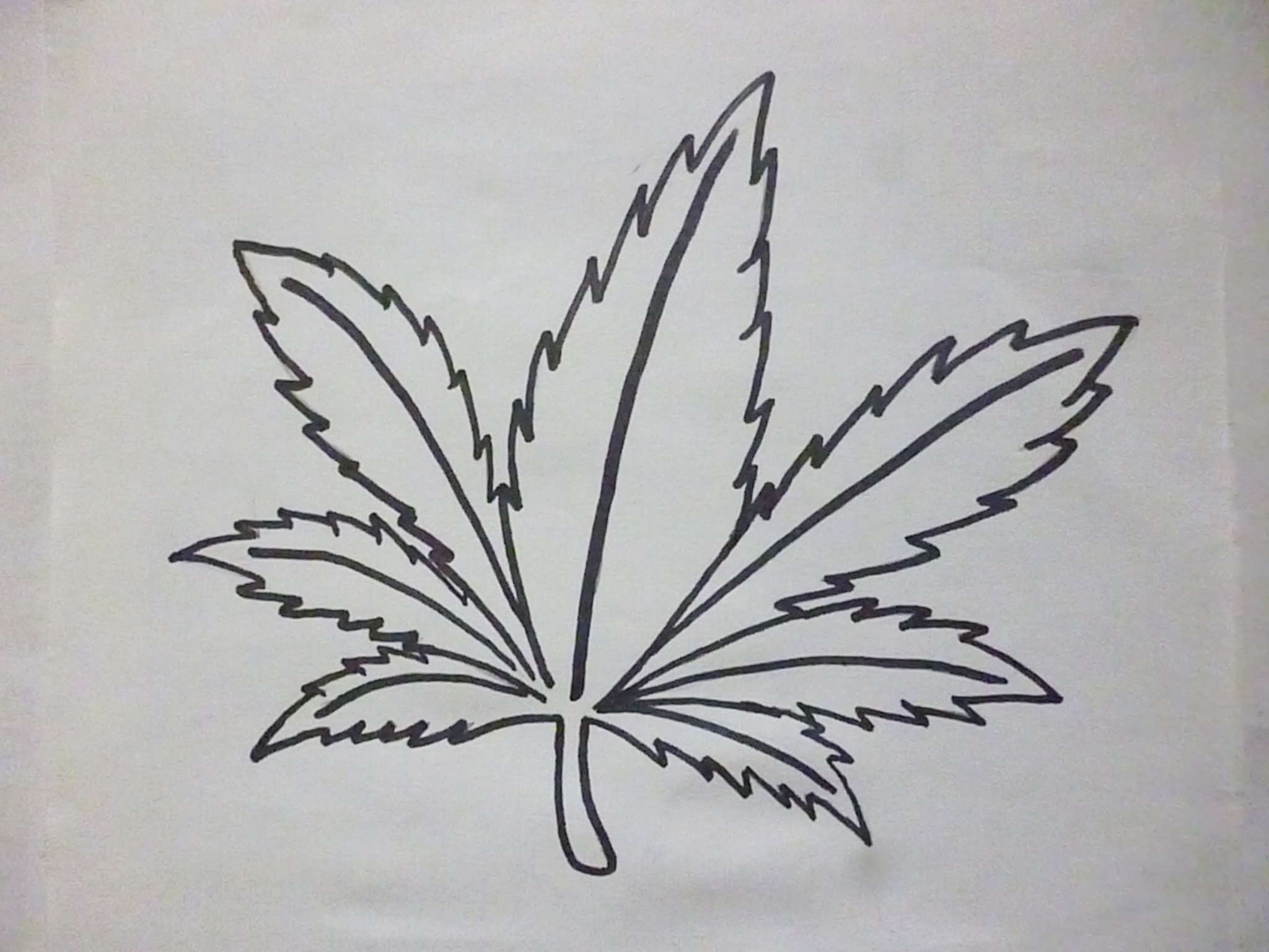Hoja de marihuana - Arte zentangle — Steemit