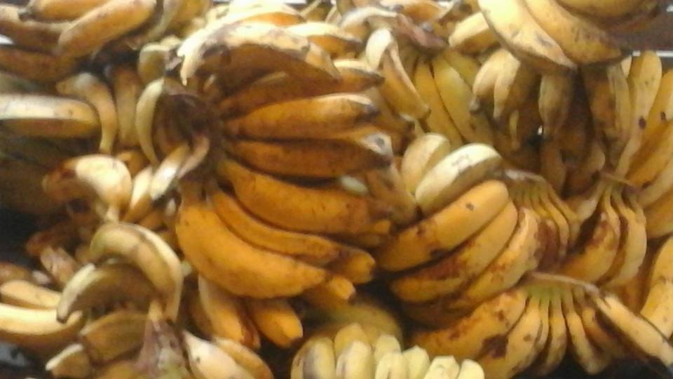 pisang 1.jpg
