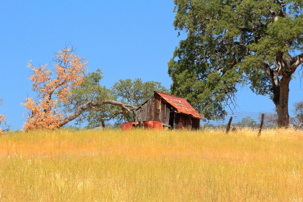 Squaw Valley Farm.jpg