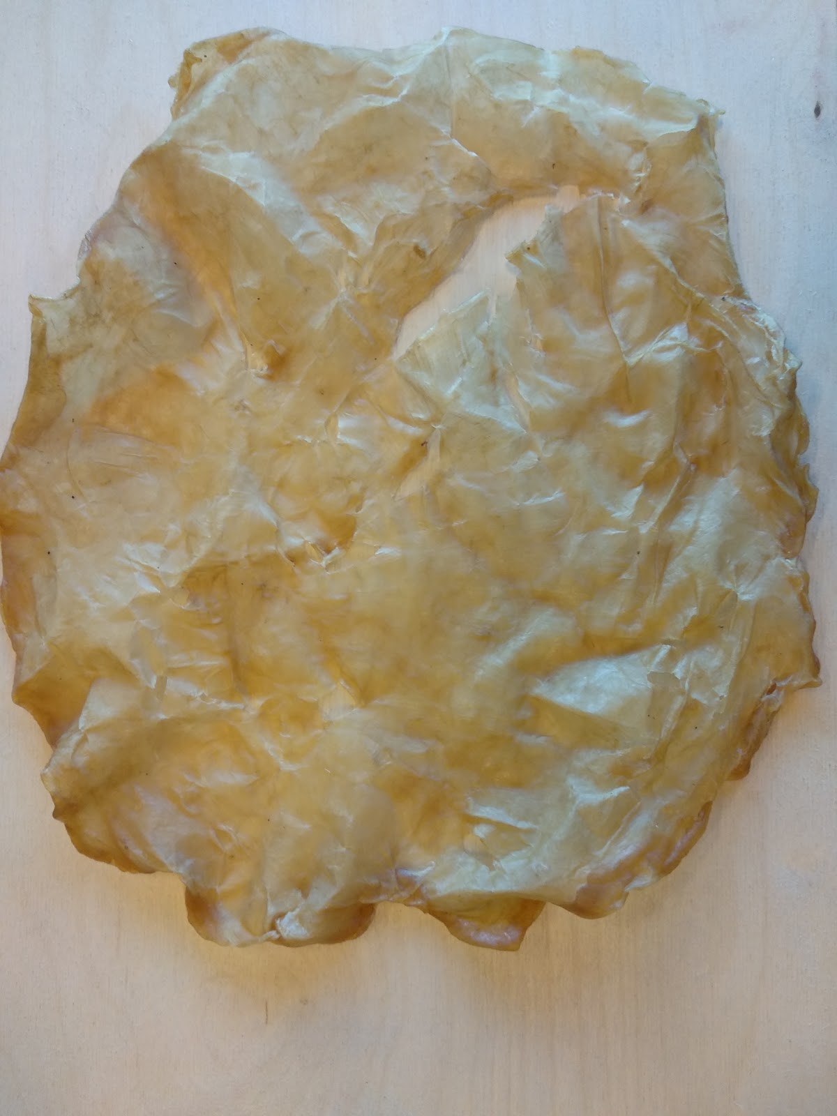 Blended scoby dry.jpg