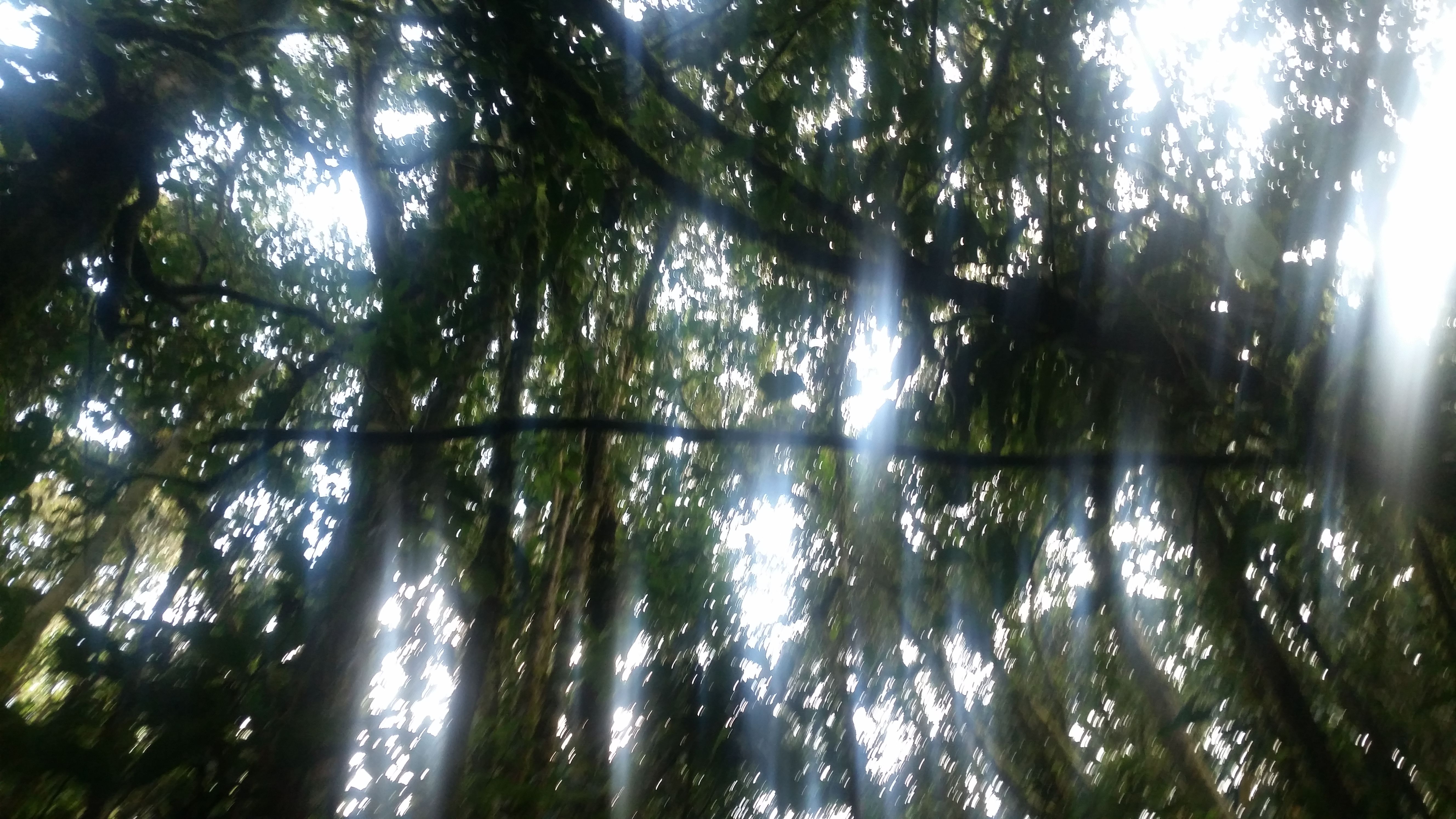 20170921_161828.jpg