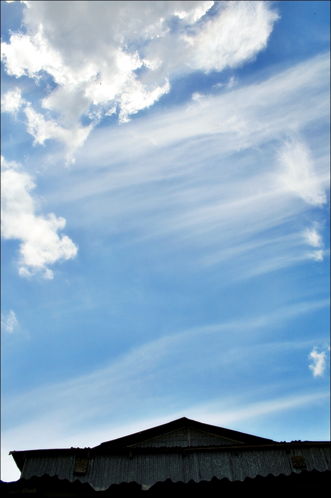 2010_06_06_12.40.12 (2).jpg